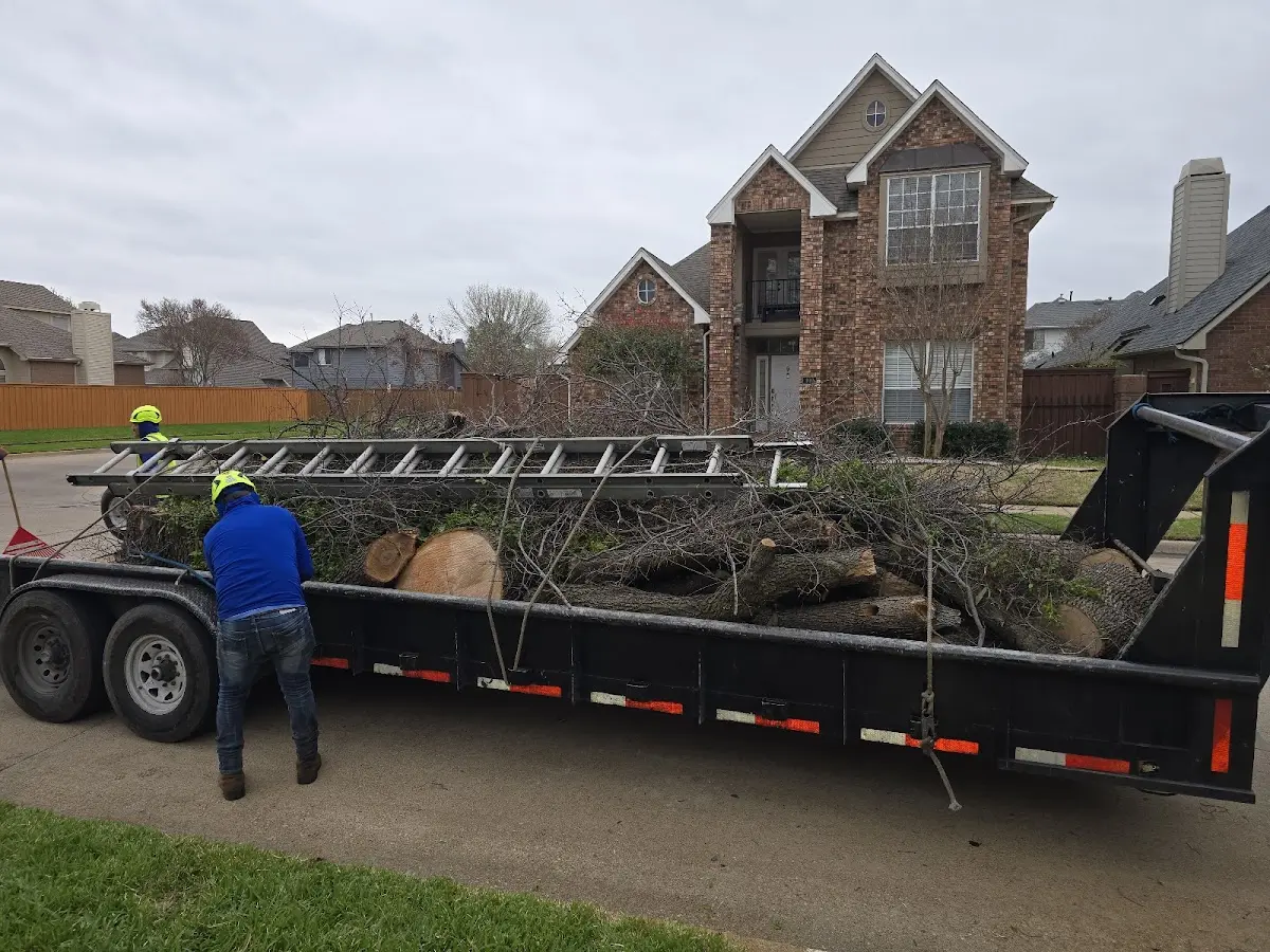 Expert Lot Clearing with proper safety equipment in Stumpy Point